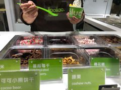 -Salud撒露欧洲冻酸奶(北苑上品店)