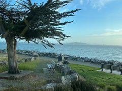 -香港东海海鲜酒家