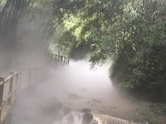 -川西竹海景区