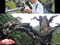 -龙湾潭国家森林公园