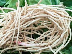 -浙江大学医学院附属第二医院(解放路院区)