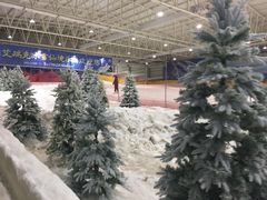 -赤马湖体育滑雪