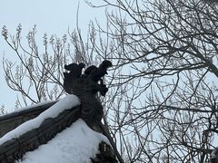 -秦岭终南山世界地质公园翠华山景区