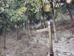-佛慧山