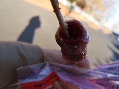 -和禄德冰糖葫芦