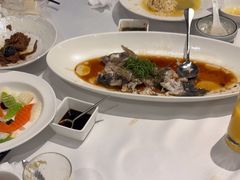-圆苑(金茂店)