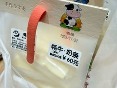 -德禄酸奶(莫家街店)