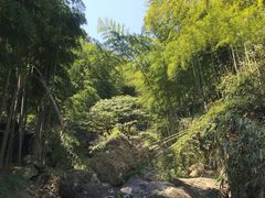 -山沟沟景区