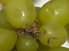 -JustFresh捷德鲜超市(西康店)