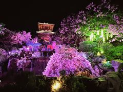 -茅山东方盐湖城景区