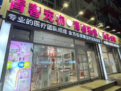 -青奢宠物·青奢猫舍