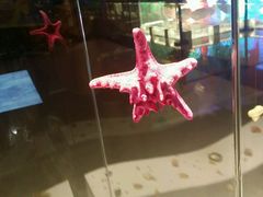 -青岛贝壳博物馆