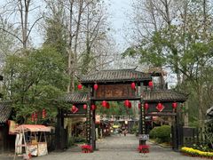 -合肥滨湖国家森林公园