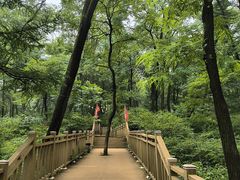 -鲁山国家森林公园