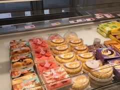 -蒲公英(五里店)