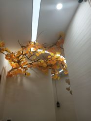 -芳朵美容养生SPA