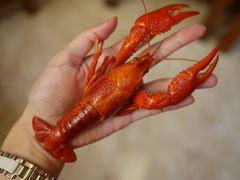 -和院老火锅铜锅烧烤海鲜(朱雀大街店)