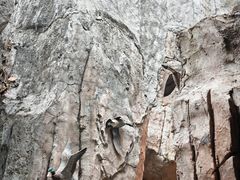 -海口观澜湖火山温泉谷