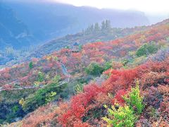 -周口店坡峰岭风景区