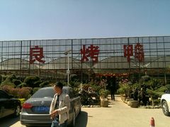 -四海烤鸭城