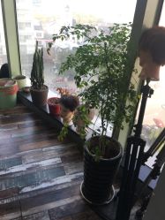 -名品美发