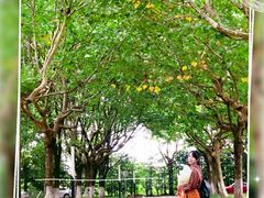 -上海第二工业大学(金海路校区)