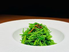 -觀芷隐轩