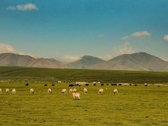 -祁连山草原