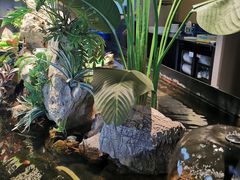 -映像威海·威海宴(威高广场店)