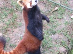 -西安秦岭野生动物园