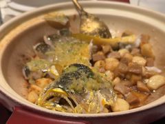 肉汁蒸海钓大黄鱼-炳胜公馆(珠江新城店)