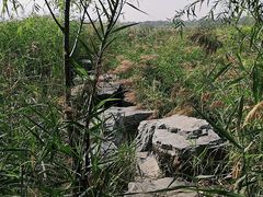 -绿堤公园