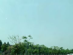 -瑶湖郊野森林公园