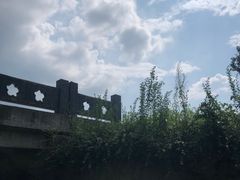-天目湖松岭竹海漂流