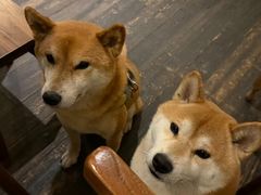 -三目仓咖啡(贤南路店)