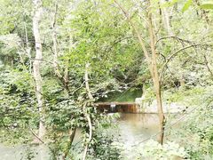 -紫霞湖公园