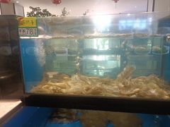 -奉天大饭店(澳海澜庭店)