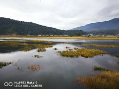 -腾冲北海湿地