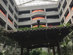 -黑龙江中医药大学附属第一医院