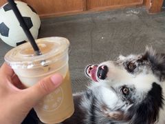 -PUZZLE COFFEE 拼图咖啡