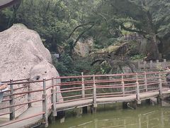 -青芝山风景名胜区