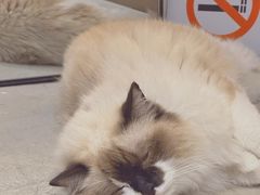 -seeu coffee(江滩店)