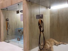 -鼎级派宠物(中南店)