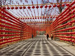 -北京凤凰岭