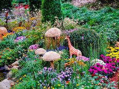 -上海共青森林公园