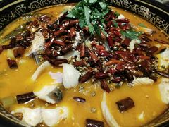 -蔼若春.传承三十年云南菜(金碧公园店)