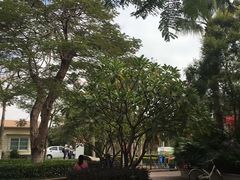 -五通灯塔公园