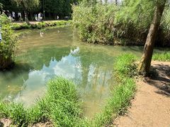 -捞渔河湿地公园