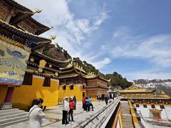 -达仓郎木寺院