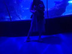 -左海海底世界